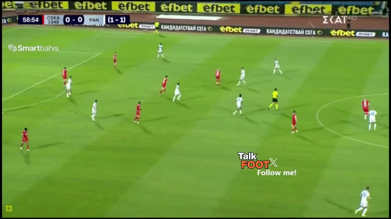 zaslepka skrotu video