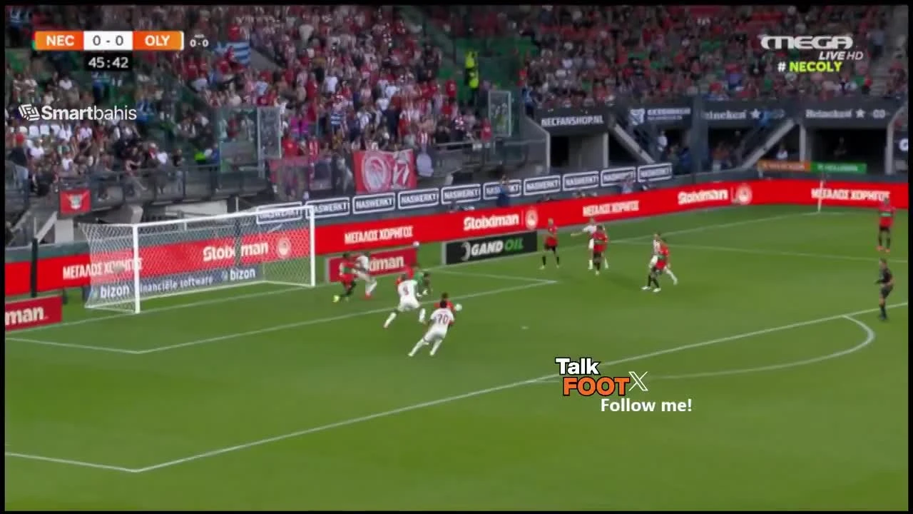 zaslepka skrotu video