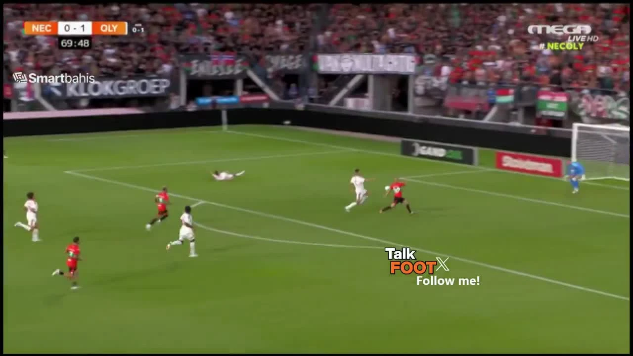 zaslepka skrotu video