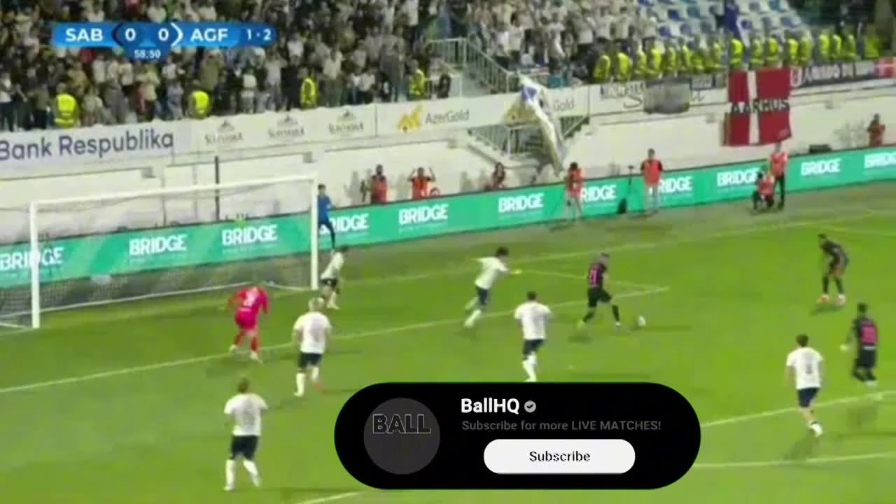 zaslepka skrotu video