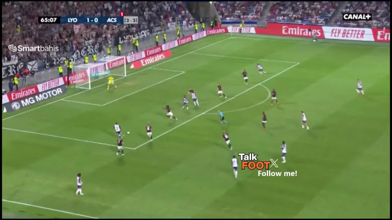 zaslepka skrotu video