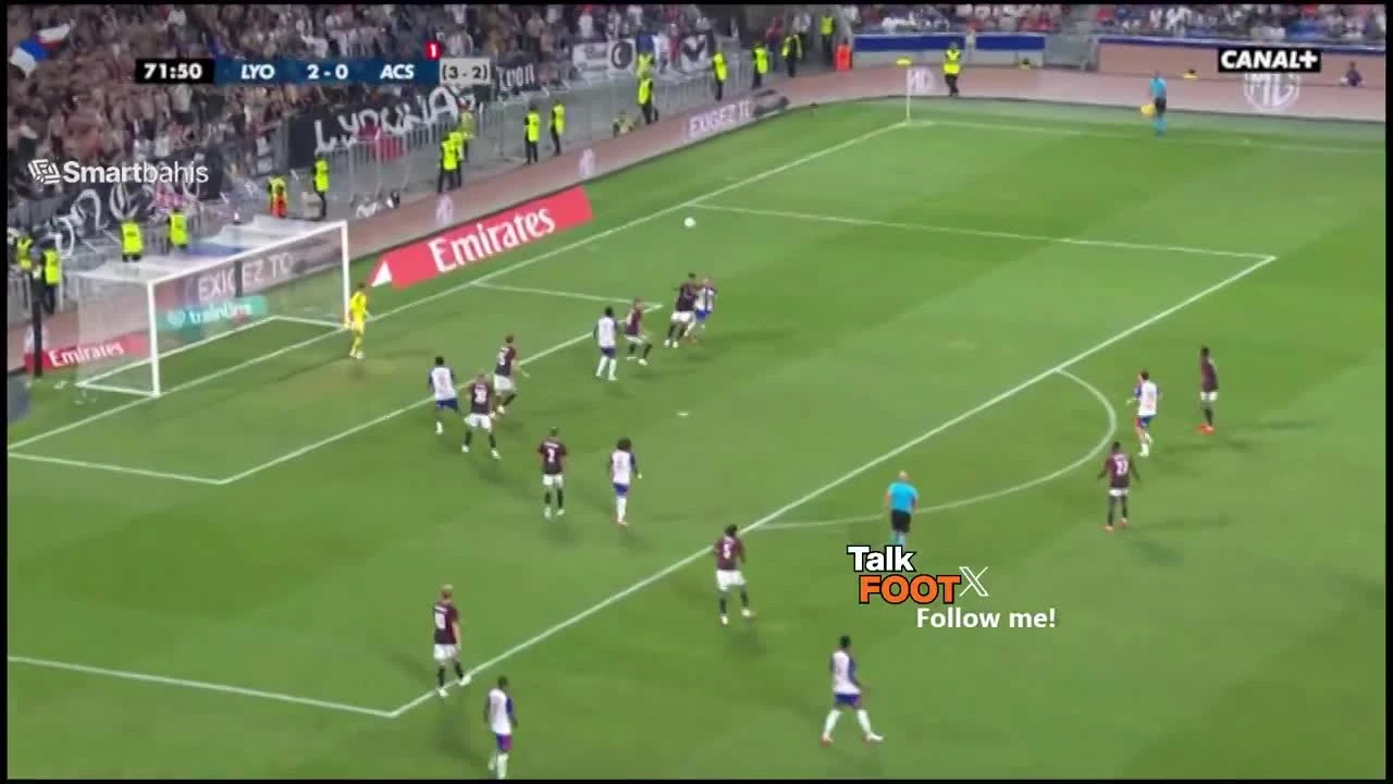 zaslepka skrotu video