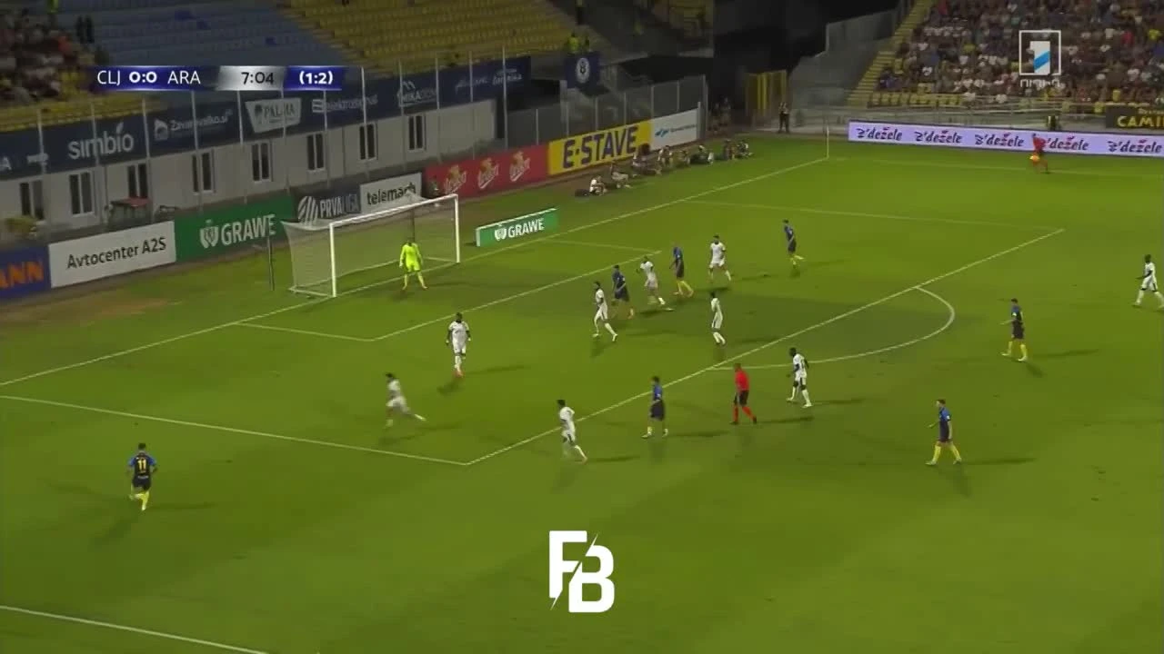 zaslepka skrotu video