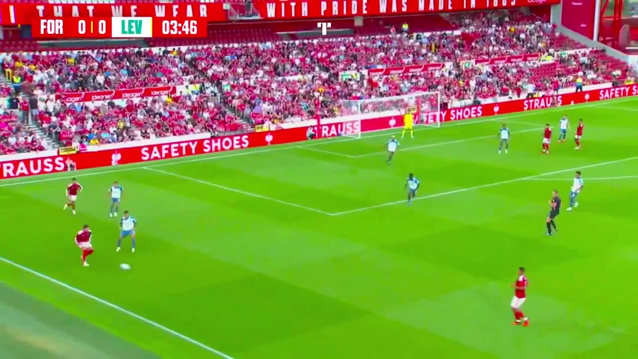 zaslepka skrotu video