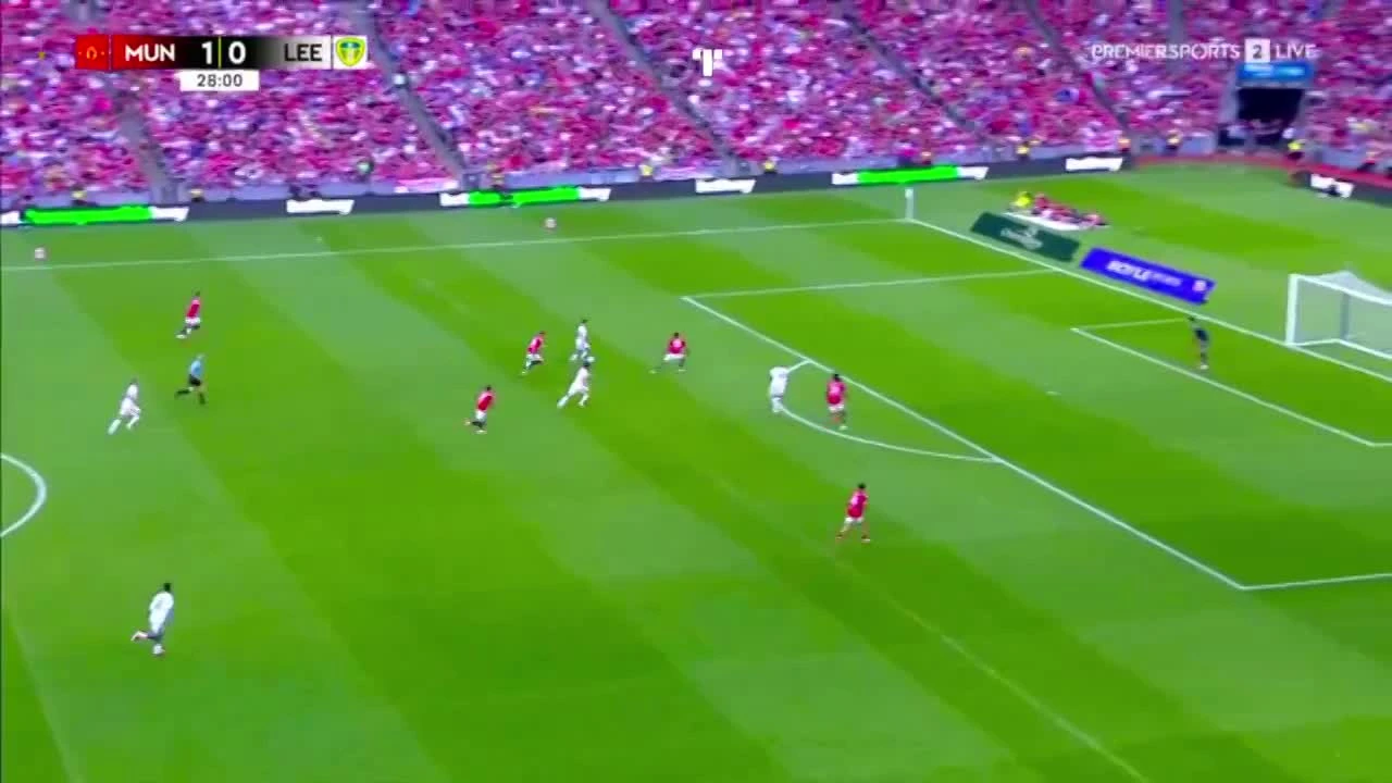 zaslepka skrotu video