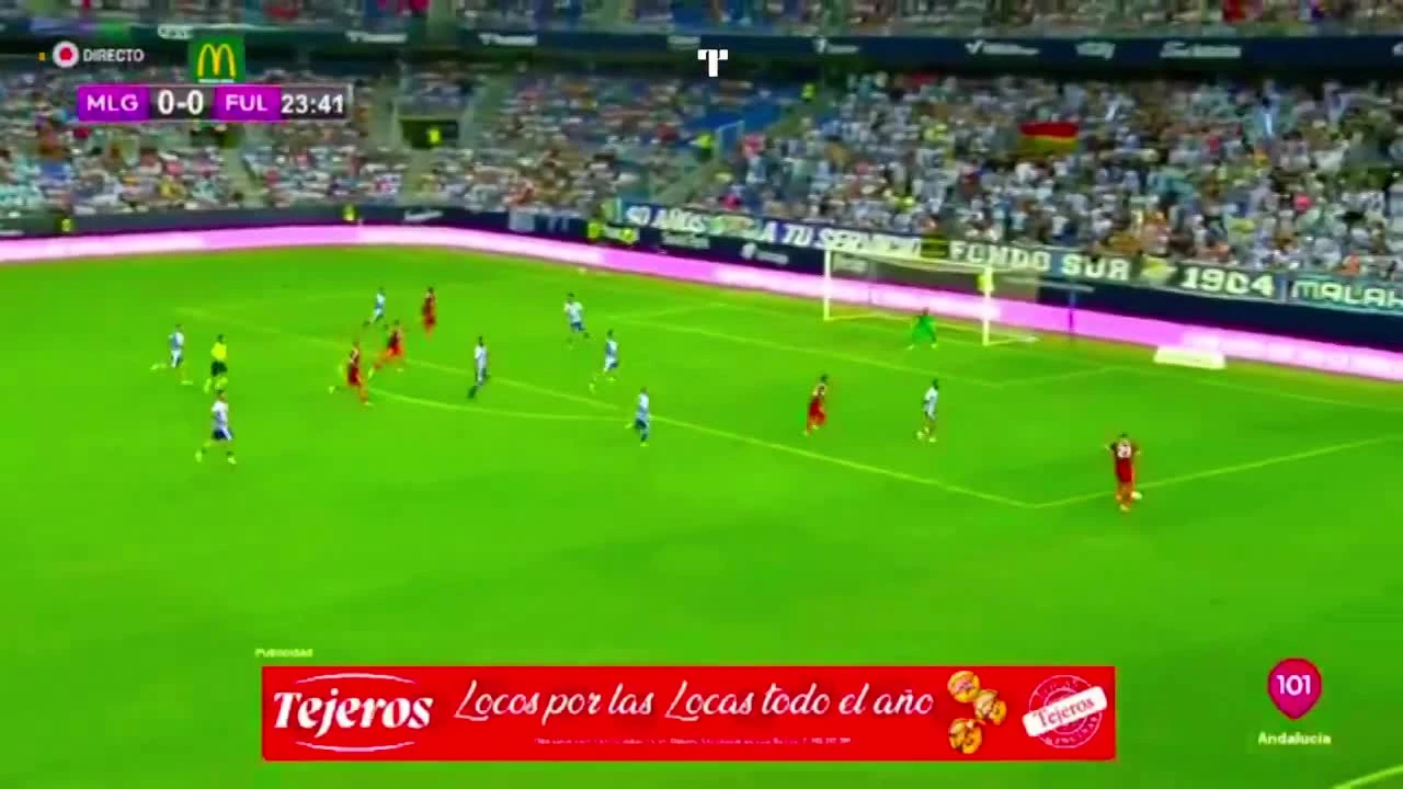 zaslepka skrotu video