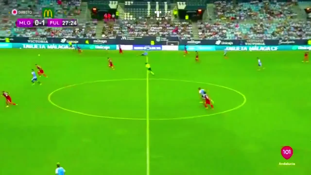 zaslepka skrotu video