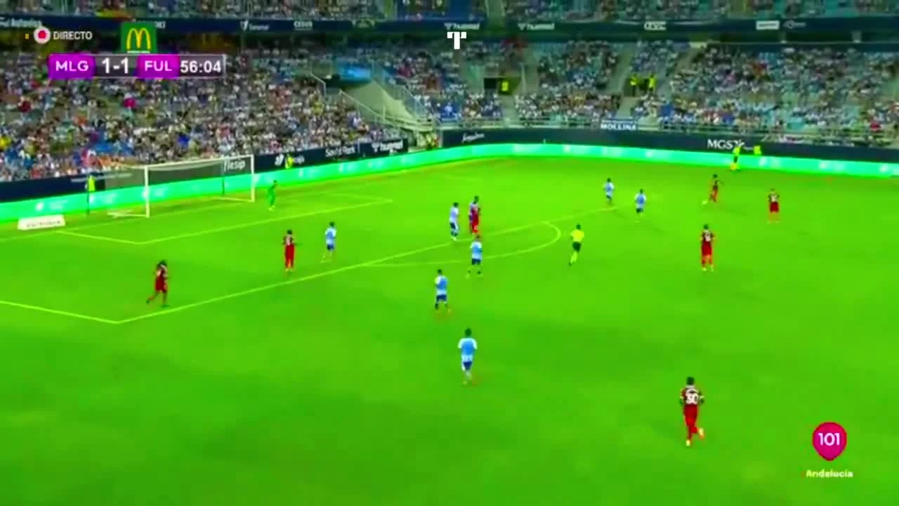 zaslepka skrotu video