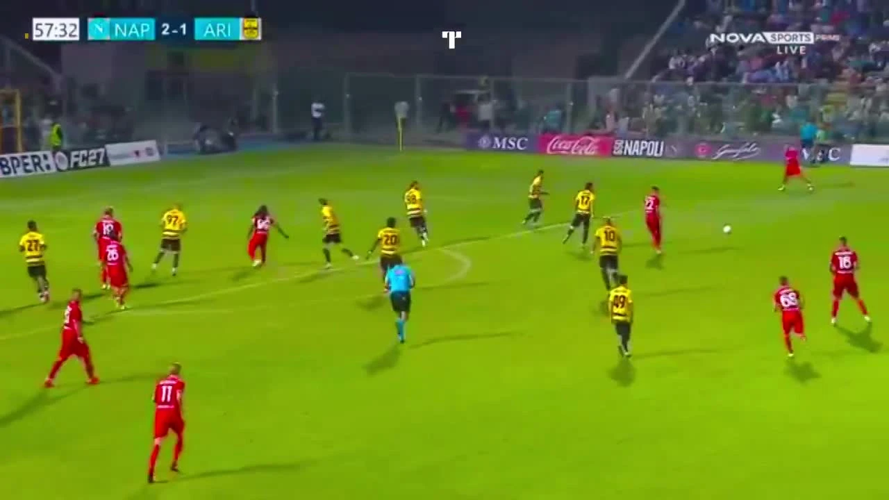 zaslepka skrotu video