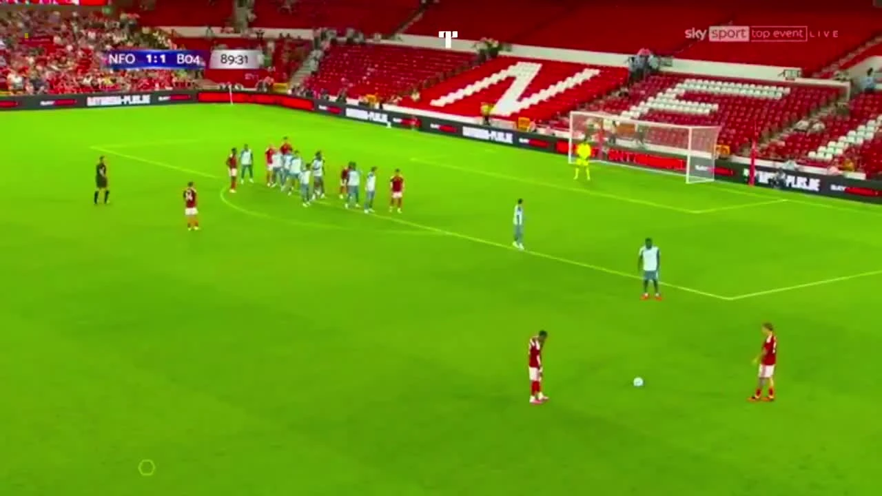 zaslepka skrotu video