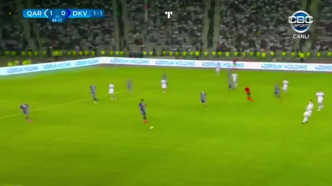 zaslepka skrotu video