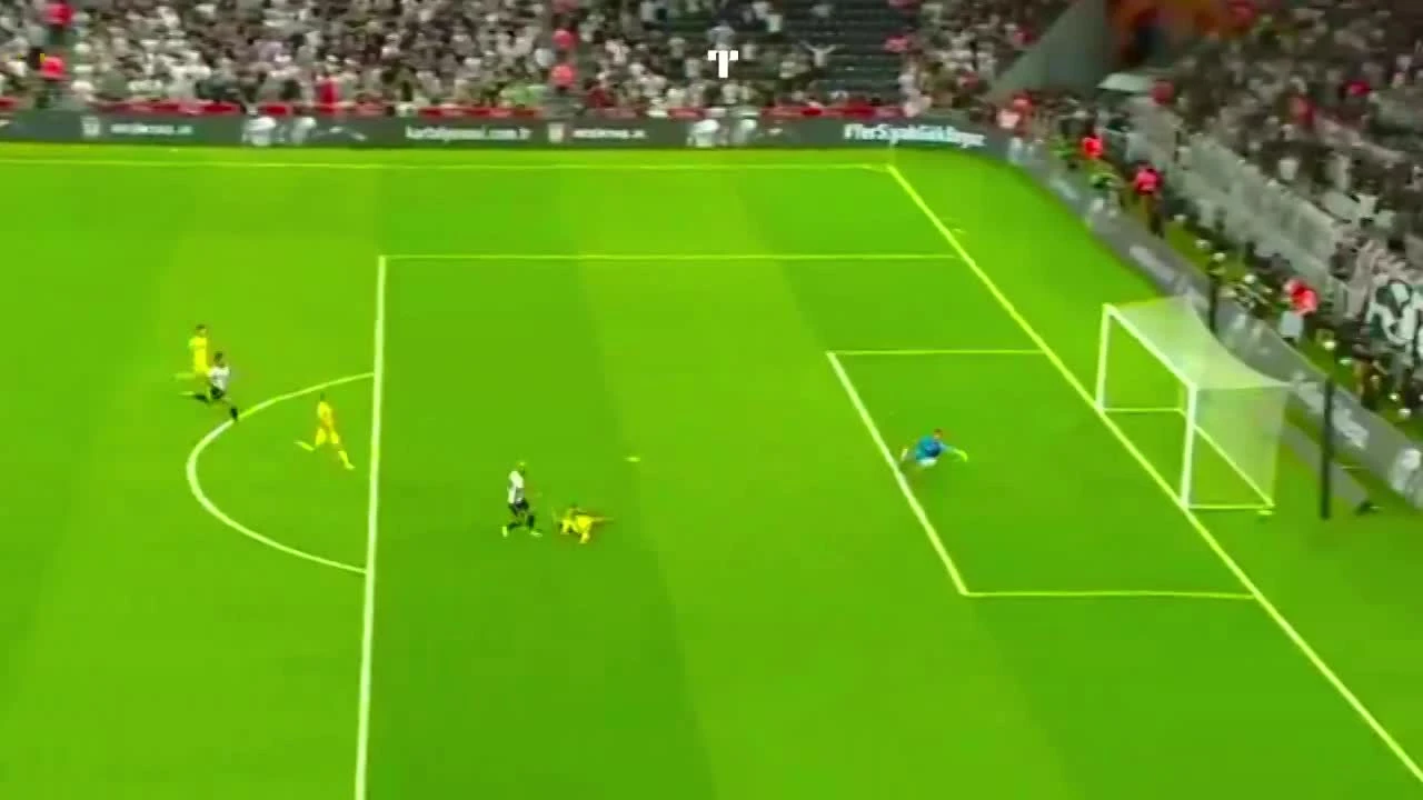 zaslepka skrotu video