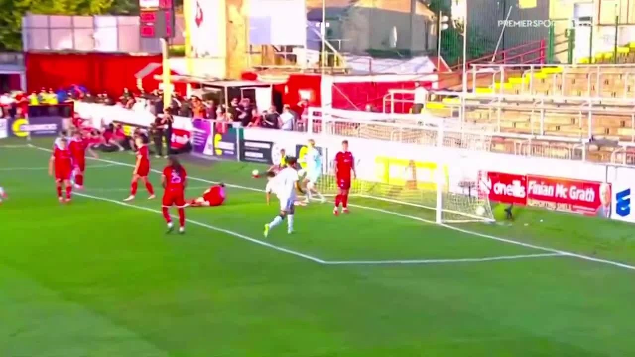zaslepka skrotu video