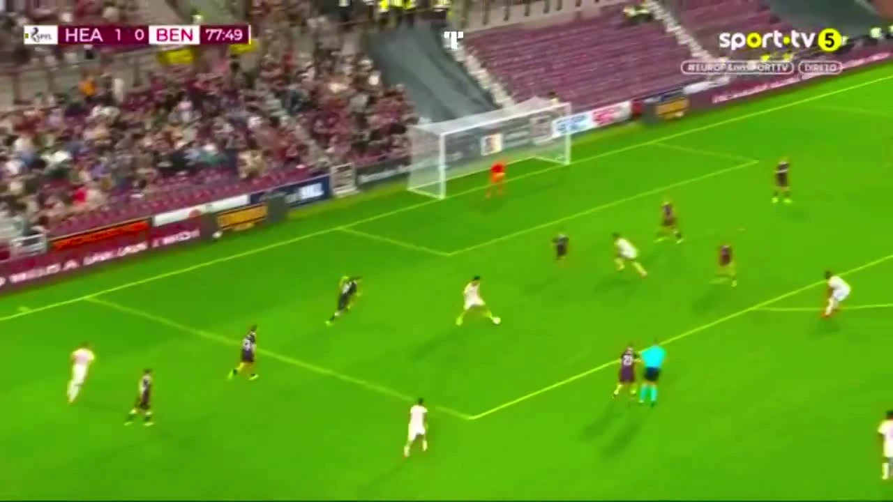 zaslepka skrotu video