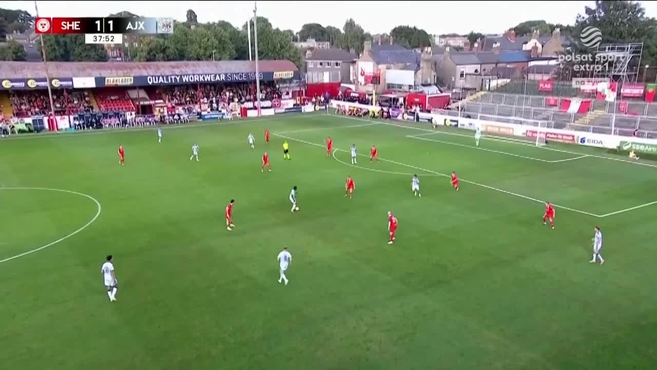 zaslepka skrotu video