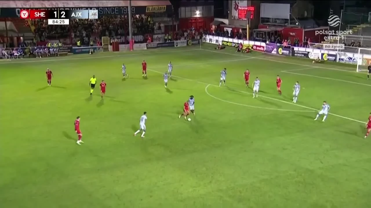 zaslepka skrotu video