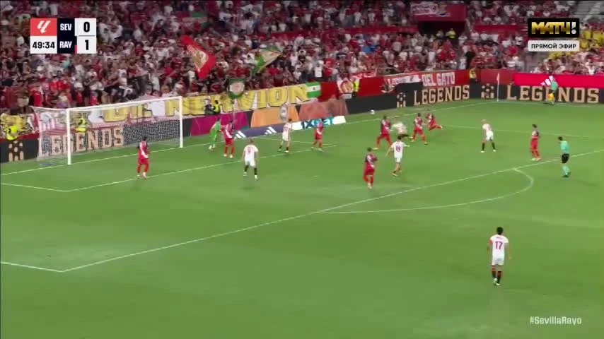 zaslepka skrotu video