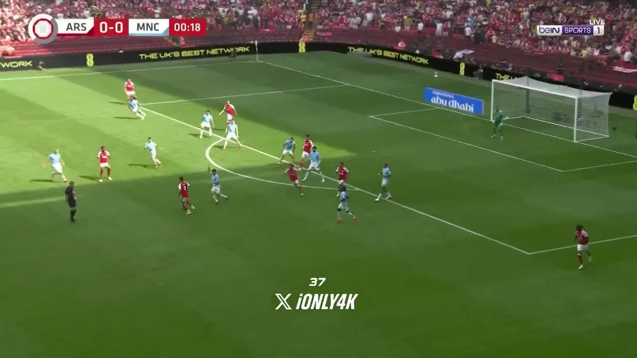 zaslepka skrotu video