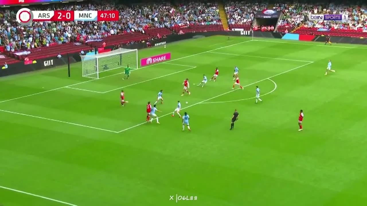 zaslepka skrotu video