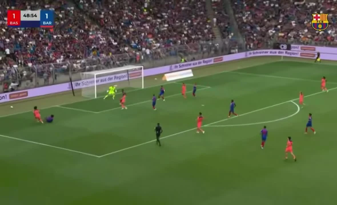 zaslepka skrotu video