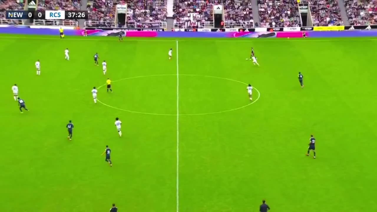 zaslepka skrotu video