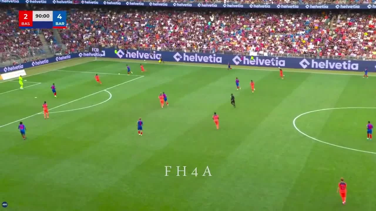 zaslepka skrotu video