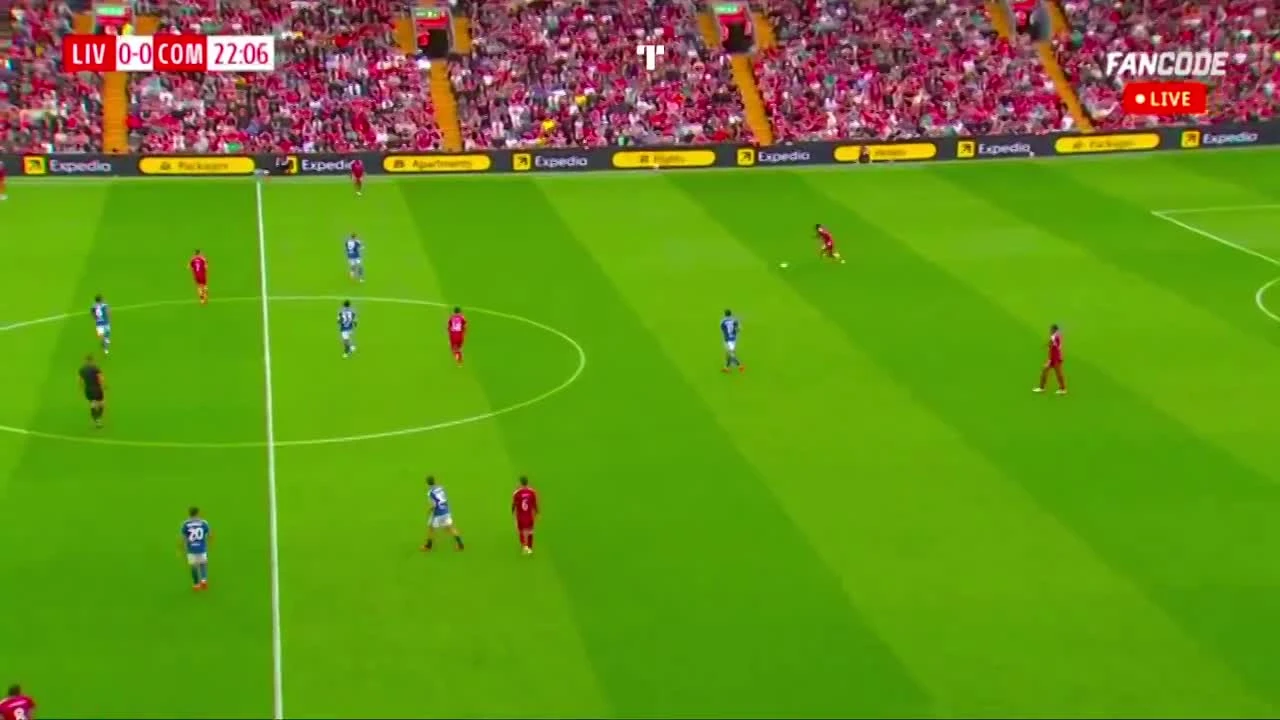 zaslepka skrotu video