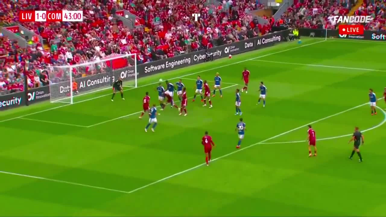 zaslepka skrotu video