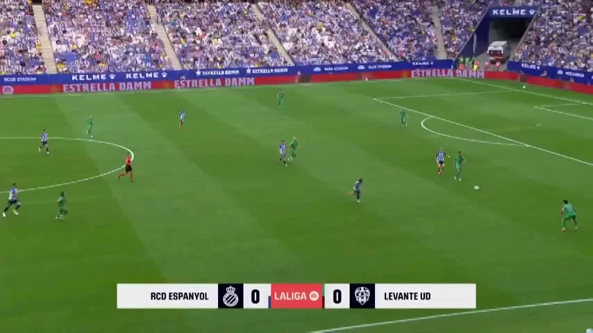 zaslepka skrotu video