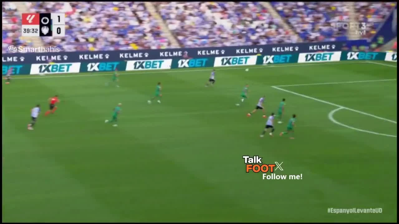 zaslepka skrotu video