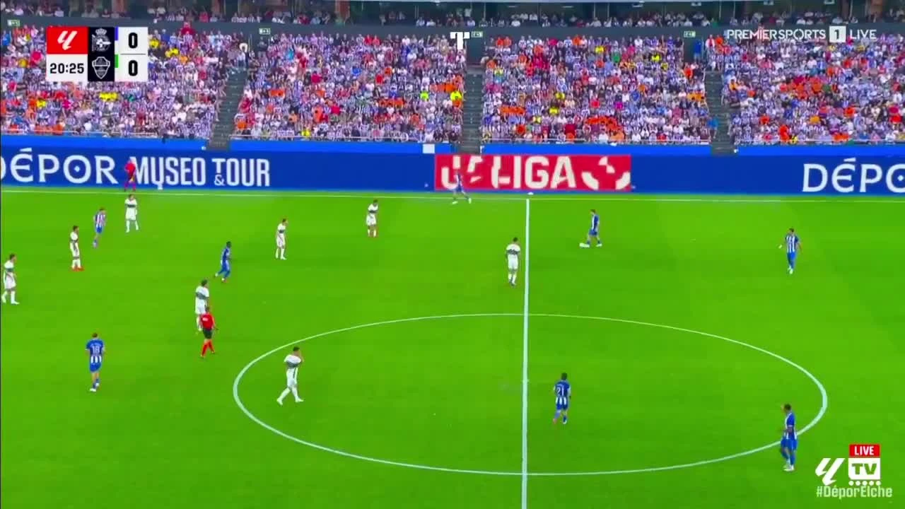 zaslepka skrotu video