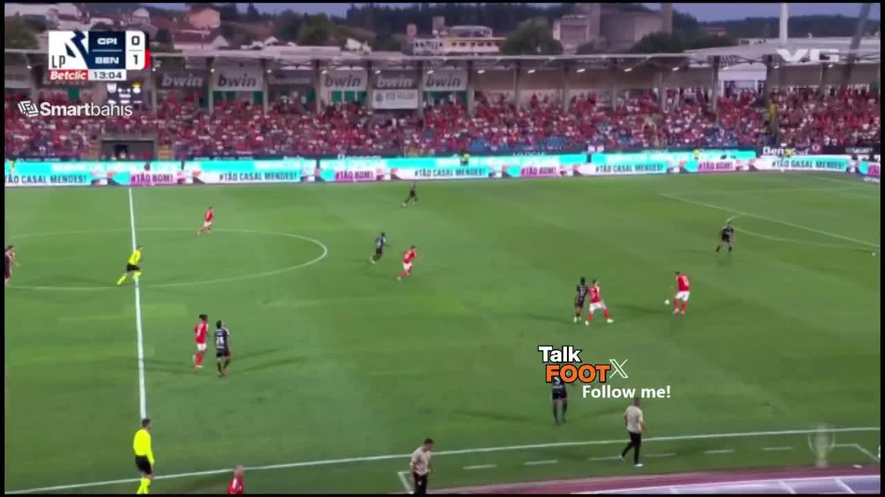 zaslepka skrotu video