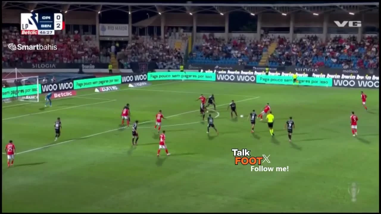 zaslepka skrotu video