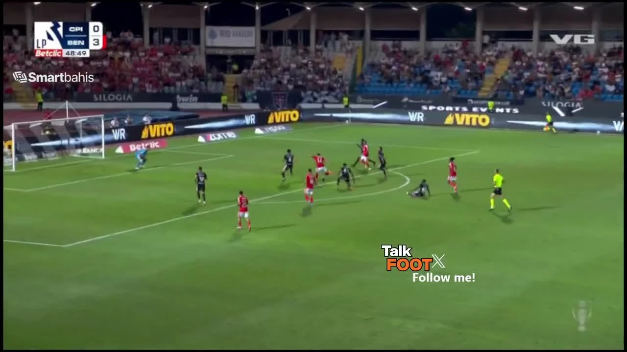 zaslepka skrotu video