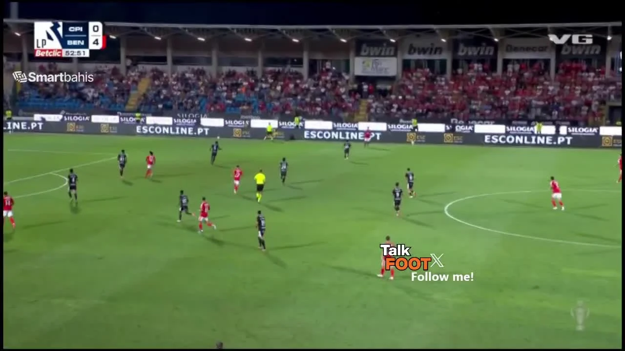 zaslepka skrotu video