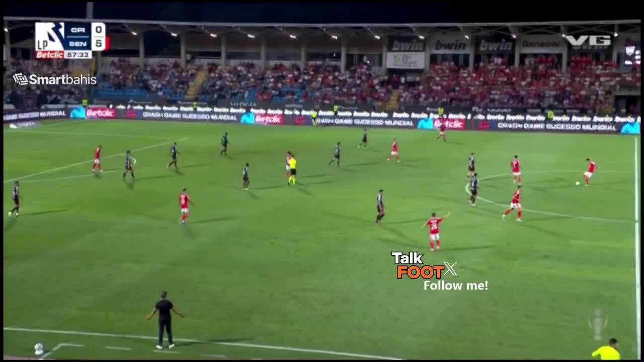 zaslepka skrotu video