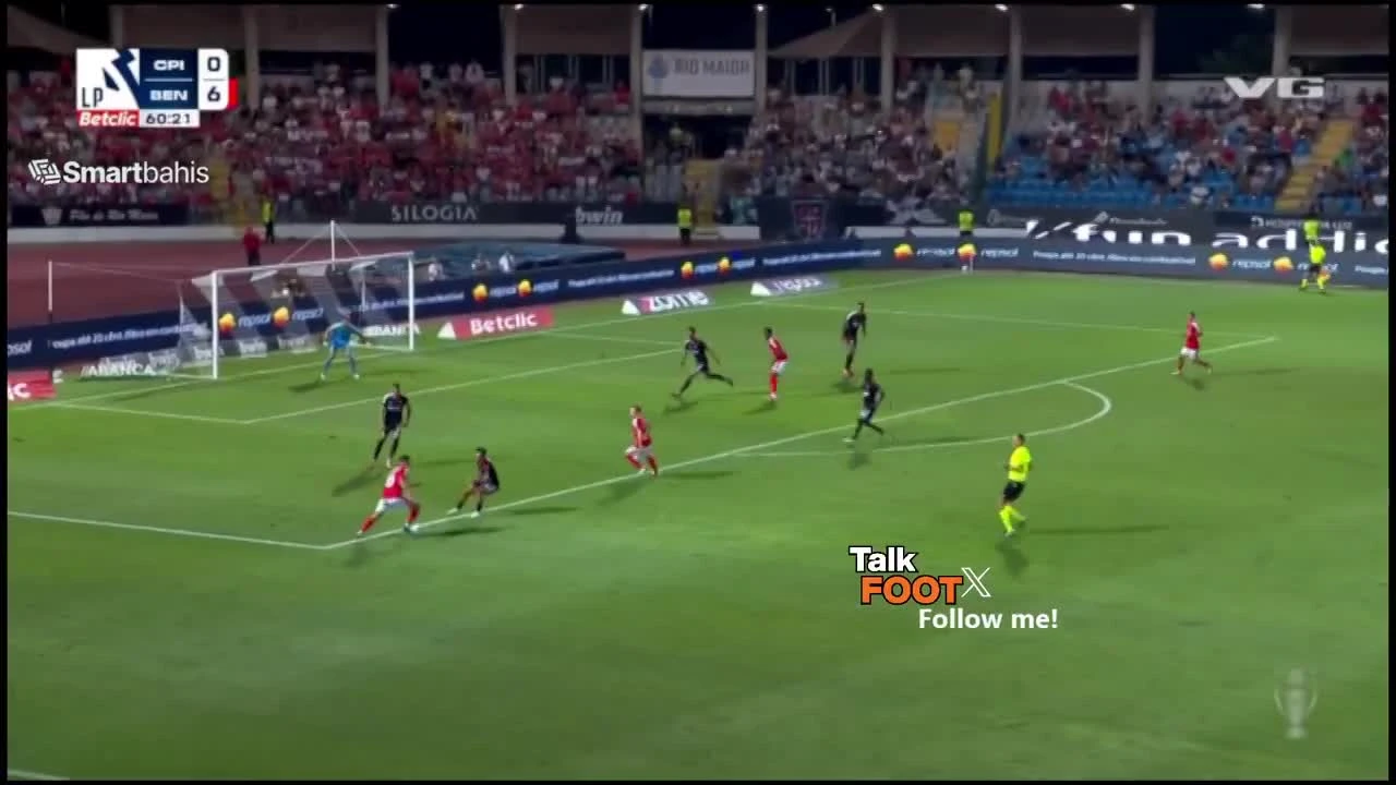 zaslepka skrotu video