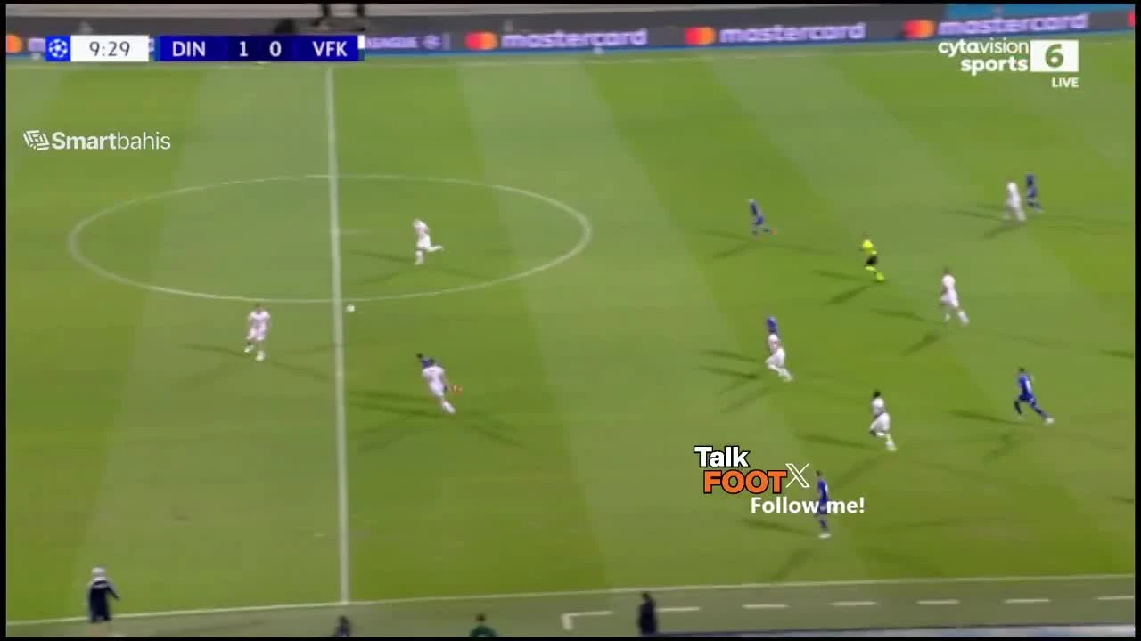 zaslepka skrotu video