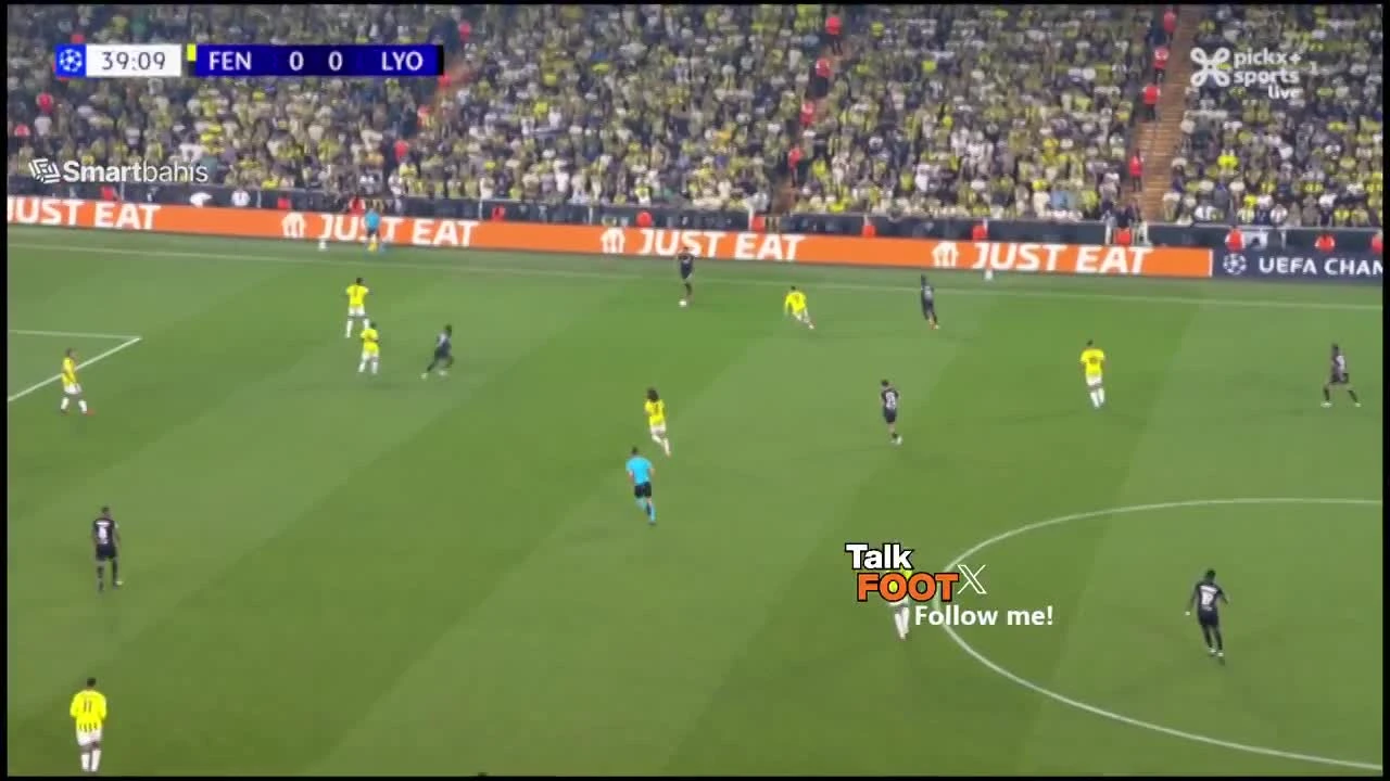 zaslepka skrotu video