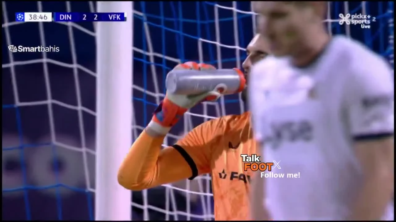 zaslepka skrotu video