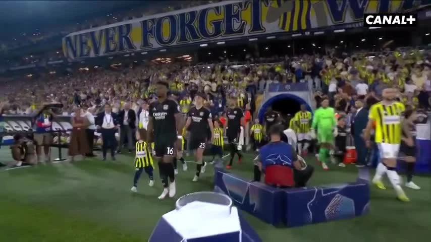 zaslepka skrotu video