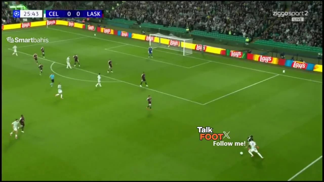 zaslepka skrotu video