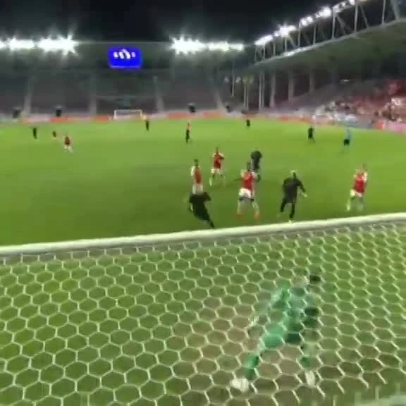 zaslepka skrotu video