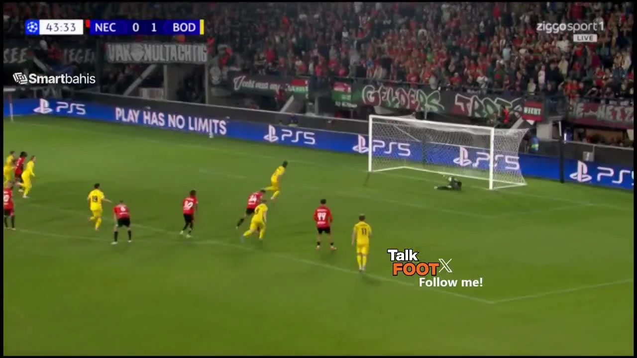 zaslepka skrotu video