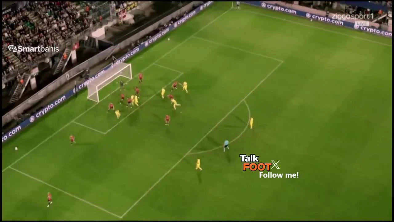 zaslepka skrotu video