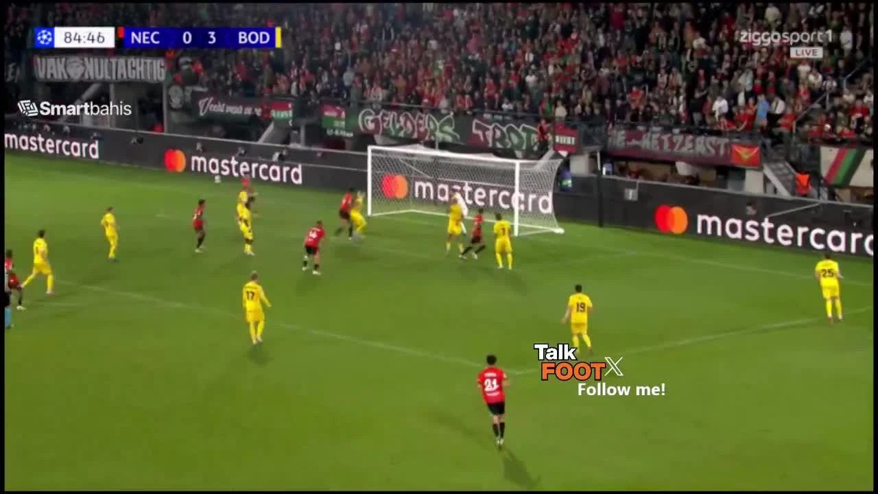 zaslepka skrotu video