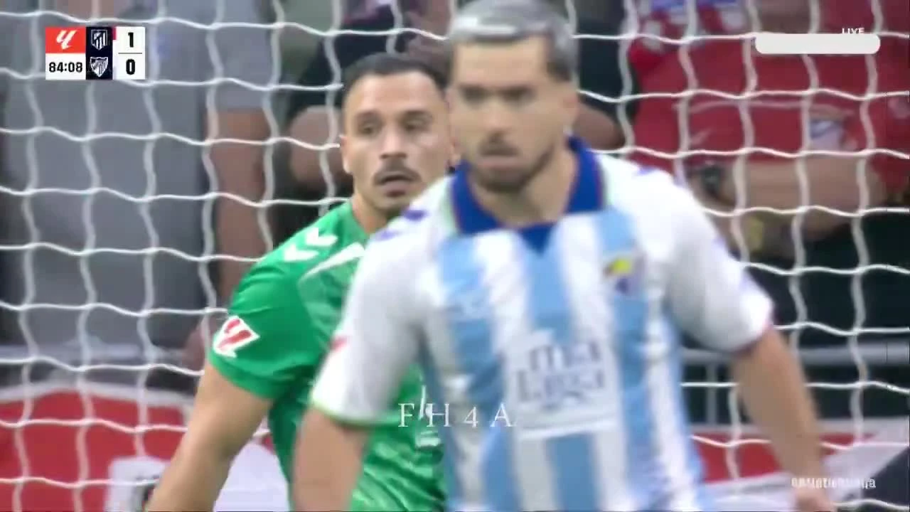 zaslepka skrotu video