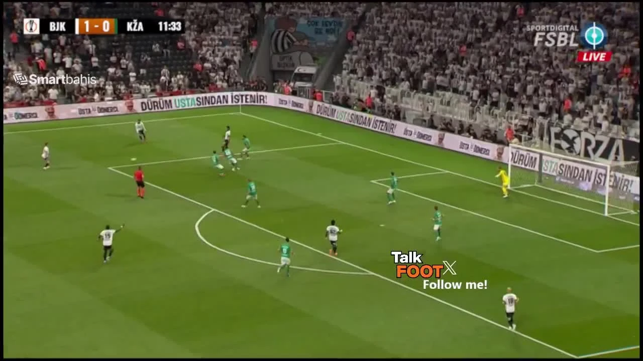 zaslepka skrotu video