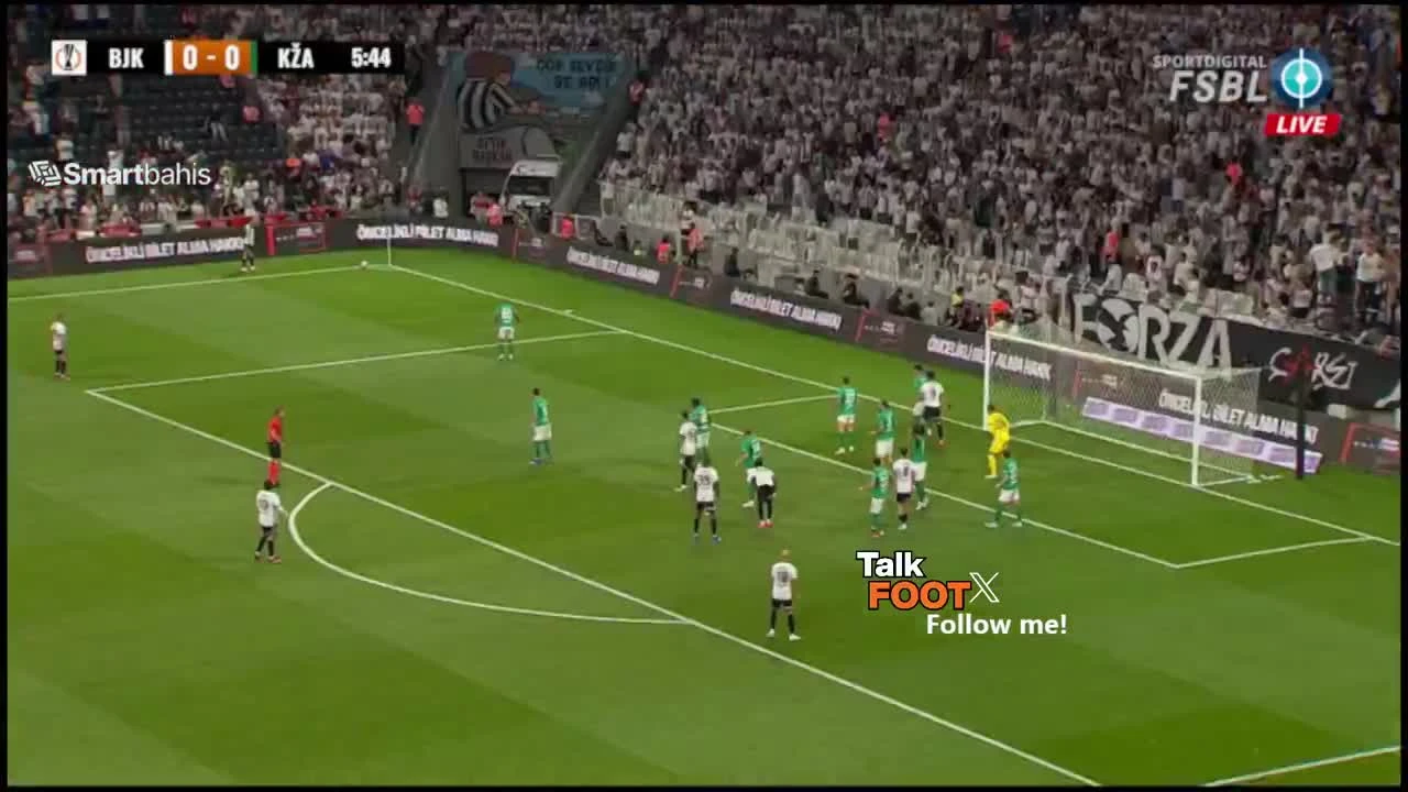 zaslepka skrotu video