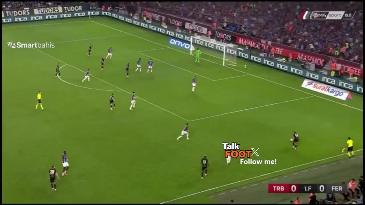 zaslepka skrotu video